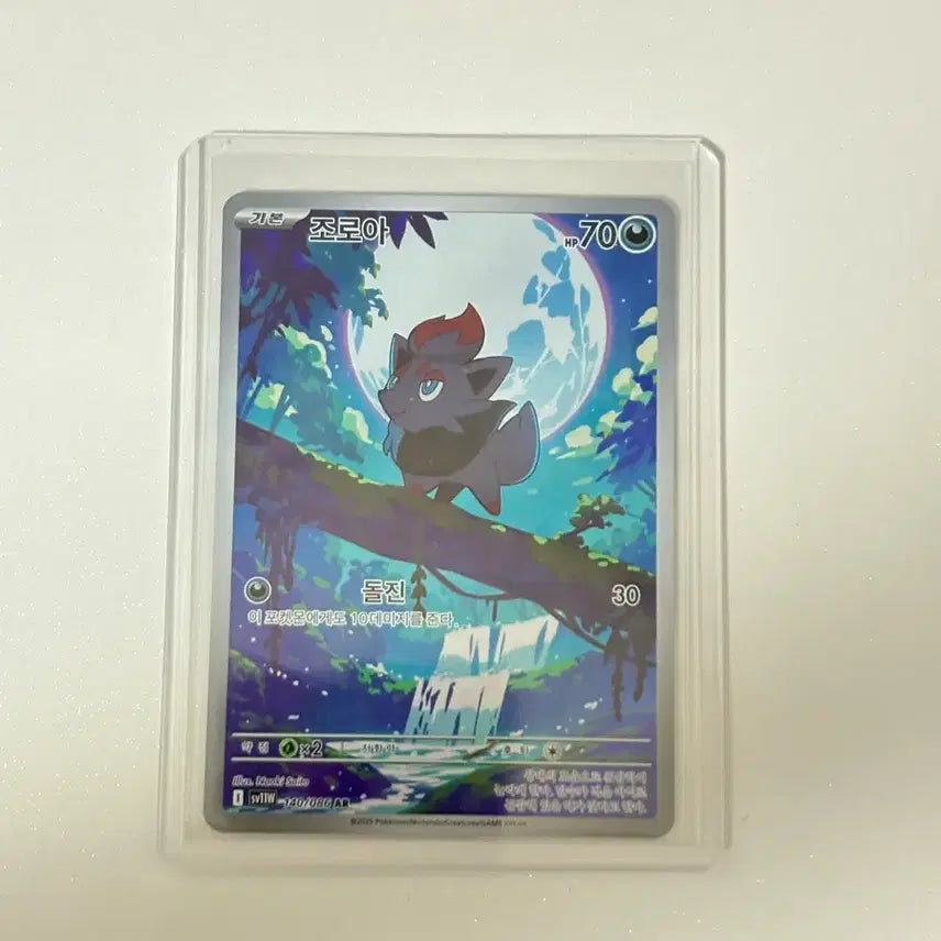 [BUNJANG] Pokemon AR Card Collection / 포켓몬 AR카드 모음
