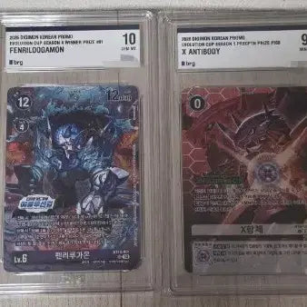 [BUNJANG] Digimon Evolution Cup Tournament Set / 디지몬 에볼루션컵 대회판 brg