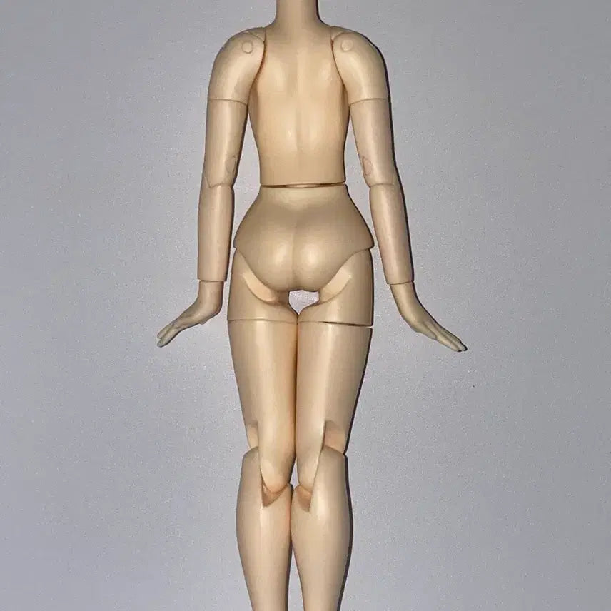 [BUNJANG] Azodoll Pureneemo Flexi Girl Body White / 아존돌 퓨어니모 플렉션 여아 바디 미백