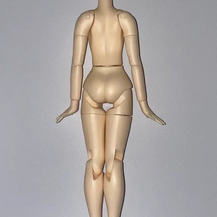[BUNJANG] Azodoll Pureneemo Flexi Girl Body White / 아존돌 퓨어니모 플렉션 여아 바디 미백