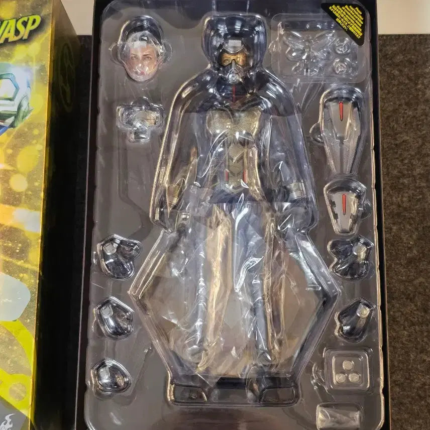 [BUNJANG] Hot Toys Ant-Man and The Wasp Wasp Action Figure / 핫토이 앤트맨과 와스프 와스프 액션 피규어