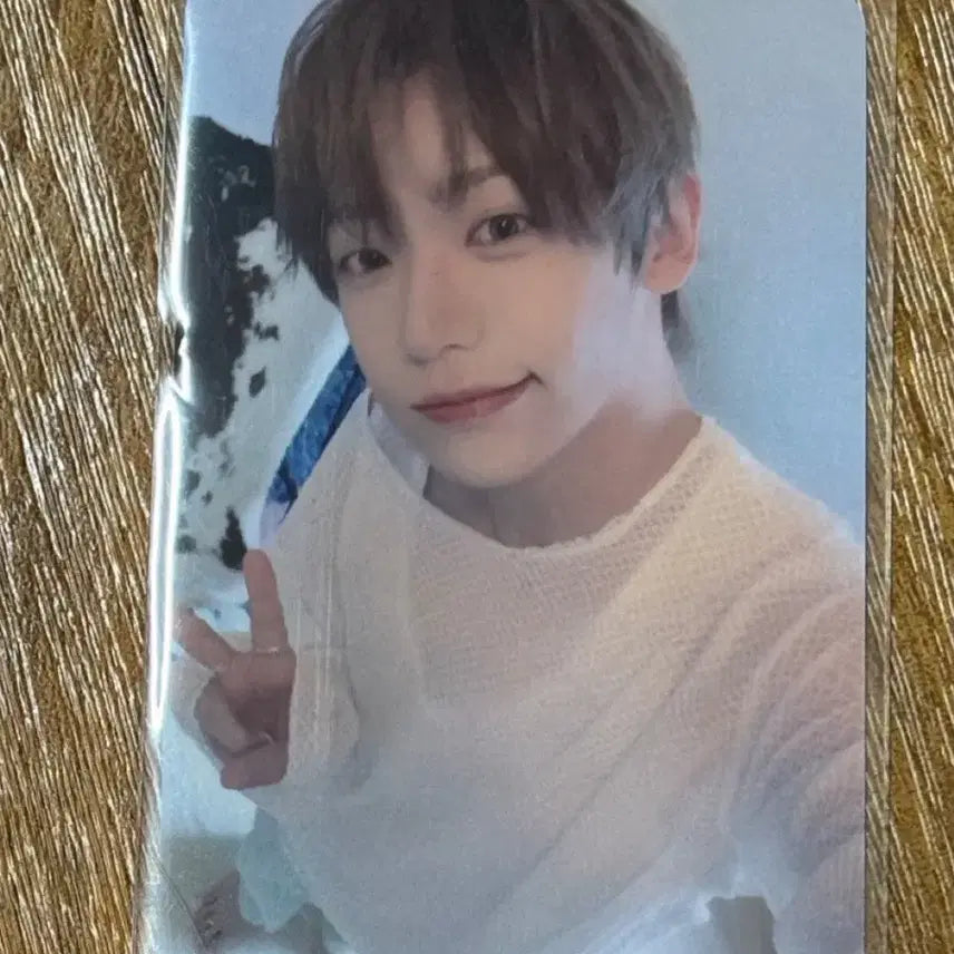 [BUNJANG] SEVENTEEN Jun Run to You Photocard / 아홉 장슈아이보 런투유 공방 포카