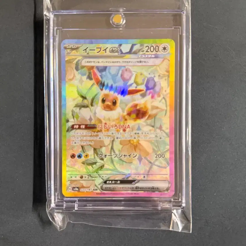 [BUNJANG] TERASTAL FESTA EEVEE SAR (JPN) Graded / 테라스탈페스타 이브이 sar (일판) 등급용