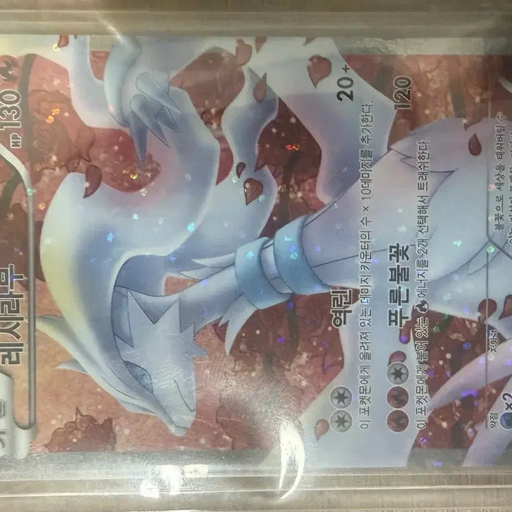 [BUNJANG] Pokemon Card Reshiram Shiny SR / 포켓몬카드 레시라무 샤이니 sr