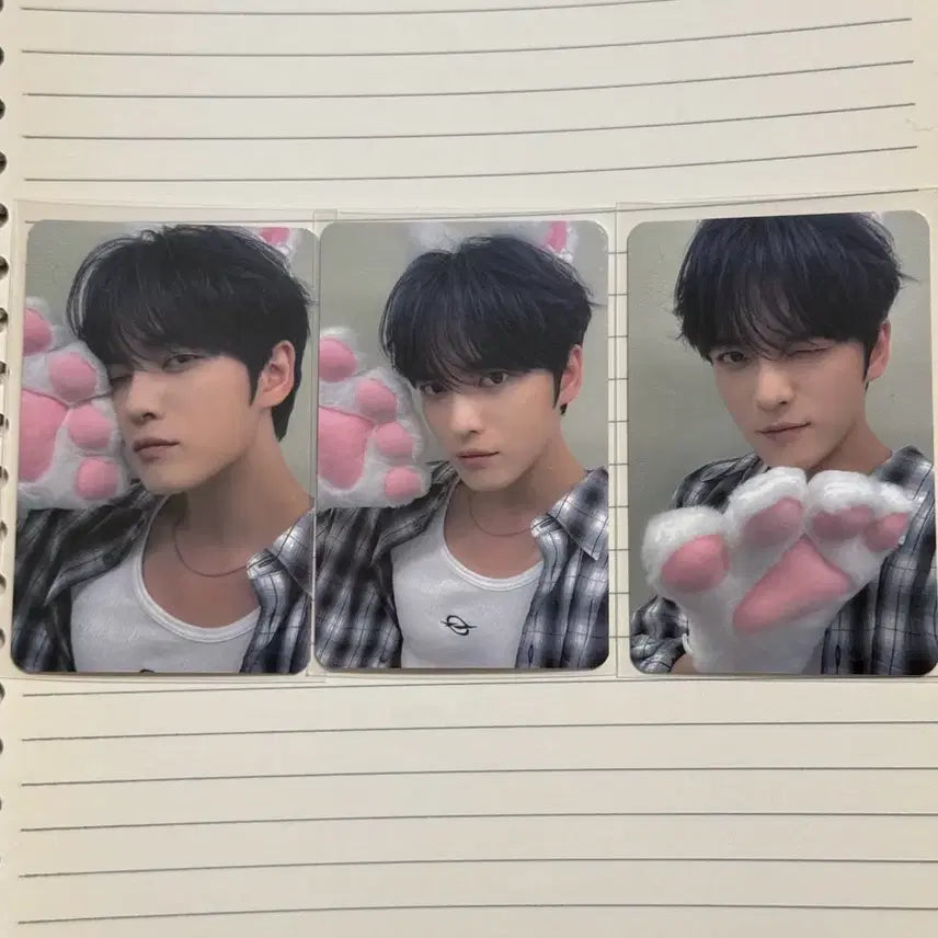 [BUNJANG] Kim Jaejoong Flower Garden Cat Photocard Bundle Set / 김재중 플라워가든 고양이 포카 일괄