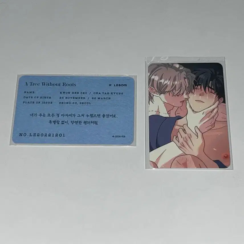 [BUNJANG] LE SSERAFIM Salond Lebon Rootless Tree Photocard Bundle Set / 레봄 살롱 드 르봉 뿌리없는 나무 뿌없나 특전 포토카드 포카 일괄 양도