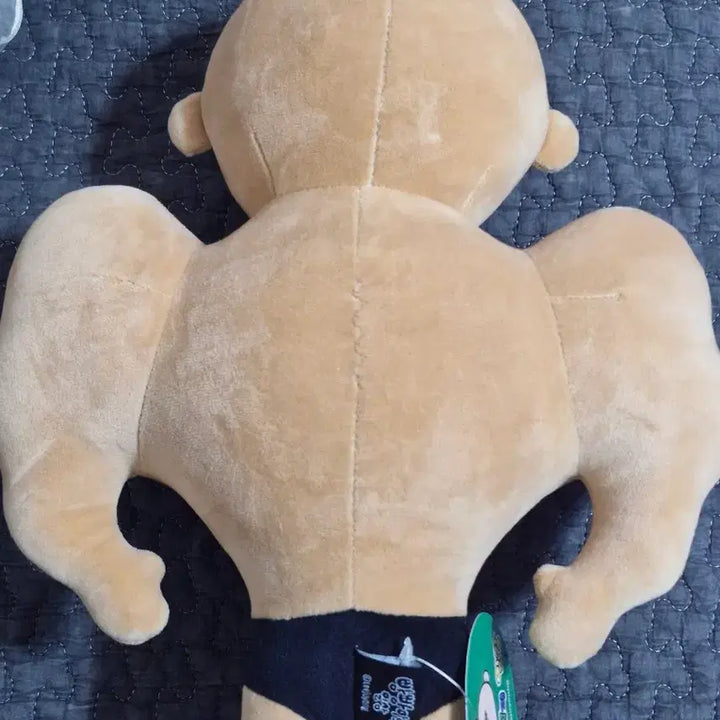 [BUNJANG] Muscle Plushie (Tanning Version) Doll / 근육 빵빵이(태닝) 인형