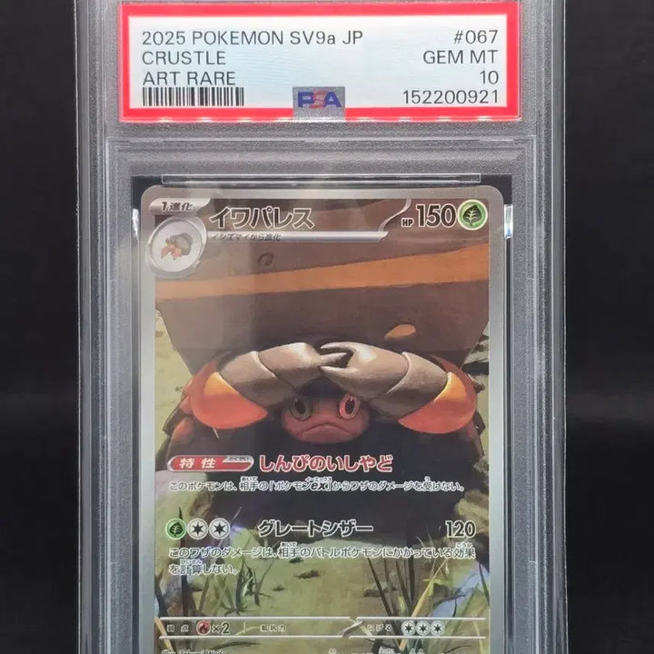 [BUNJANG] Pokemon Card Japanese Amphallise AR PSA 10 / [PSA10] 포켓몬카드 일판 암팰리스 AR
