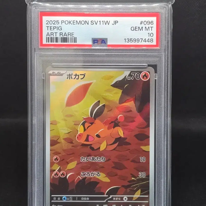 [BUNJANG] Pokemon Card "Taru" AR Graded PSA 10 / [PSA10] 포켓몬카드 일판 뚜꾸리 AR