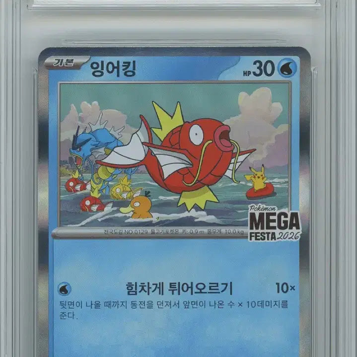 [BUNJANG] Pokemon Magikarp Promo Card BRG Graded 9 Mint / 포켓몬카드 잉어킹 프로모 BRG9