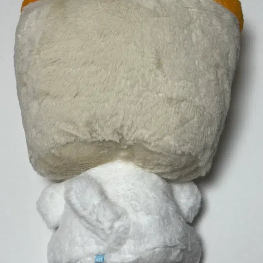 [BUNJANG] NCT WISH Bubble Nyang 30cm Wish Doll / 엔시티 위시 버블냥 30cm 위시돌