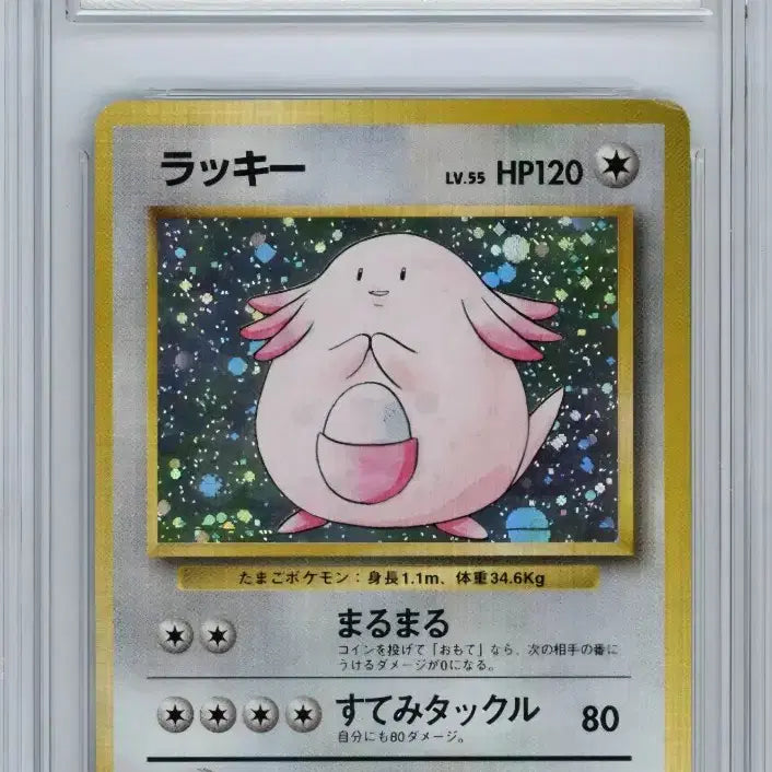 [BUNJANG] 1996 Lucky Pokemon Card BRG8 Graded / 일판 포켓몬카드 1996년 럭키 brg8등급