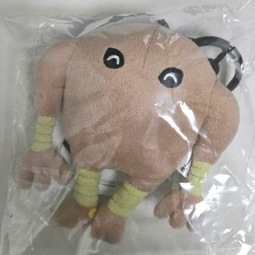 [BUNJANG] Pokemon Shirosommon Training Mascot Plush (Sealed) / [미개봉]포켓몬스터 시라소몬 특훈중 마스코트 인형