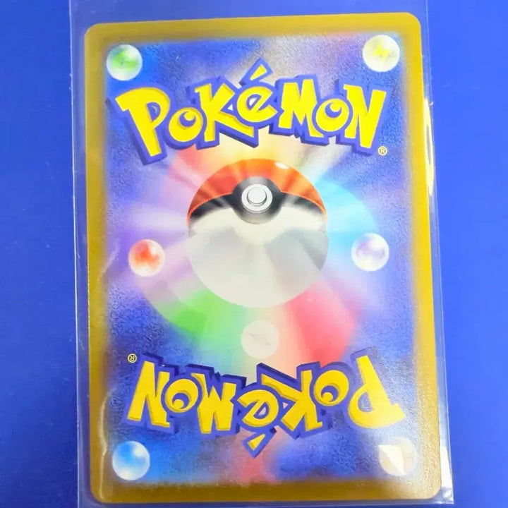 [BUNJANG] Pokemon Card Trainer Deck Accessory Set / 포켓몬카드 야적 세 자매 몬볼 몬스터볼 트레이너 덱소스 일판 카드