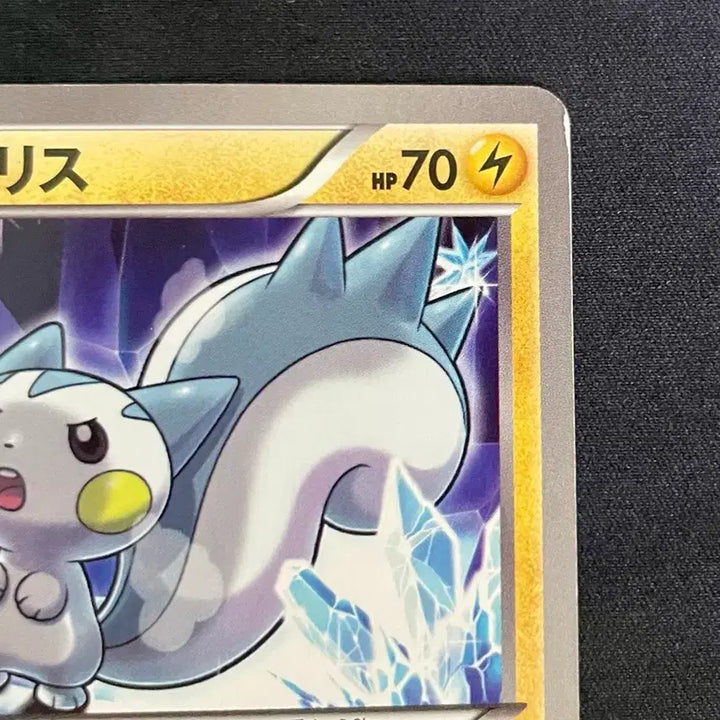 [BUNJANG] Pokemon Card Pachirisu 019/051 BW8 / 일판 포켓몬카드 볼트너클 파치리스 019/051 BW8
