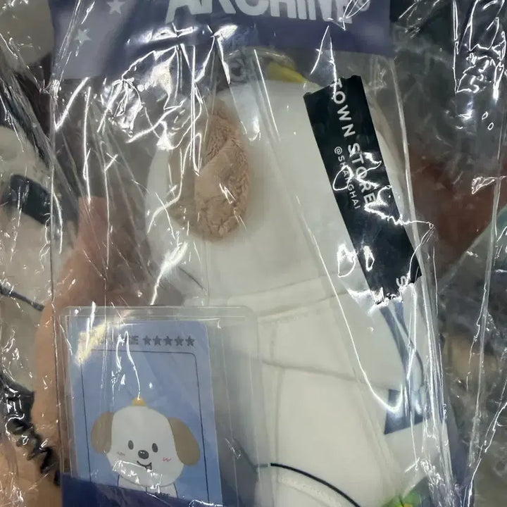 [BUNJANG] RIIZE Shanghai Pop-up Skateboard Doll Keychain (Meongryongi) / 현물)라이즈 RIIZE 상하이 팝업 스케이트보드 인형 키링 멍룡이