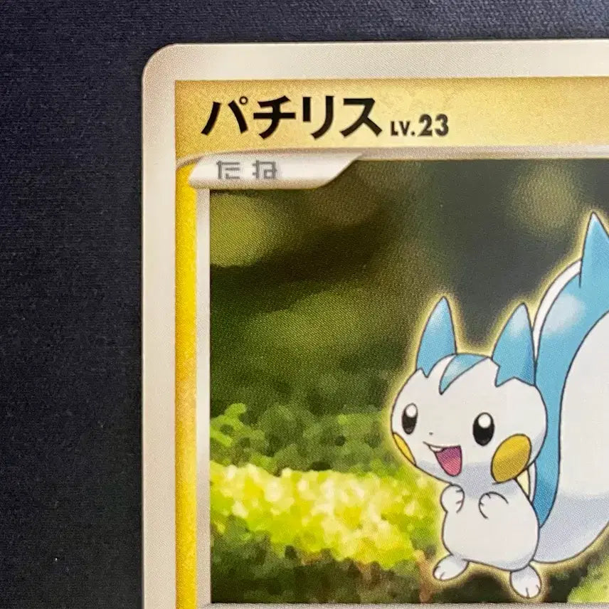 [BUNJANG] Pokemon Card Pachirisu DPBP