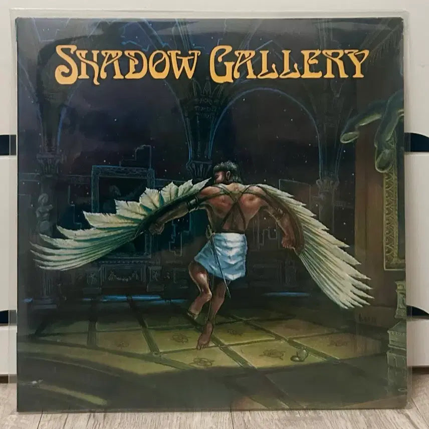 [BUNJANG] Shadow Gallery LP Metal LP / Shadow gallery lp (메탈 lp)