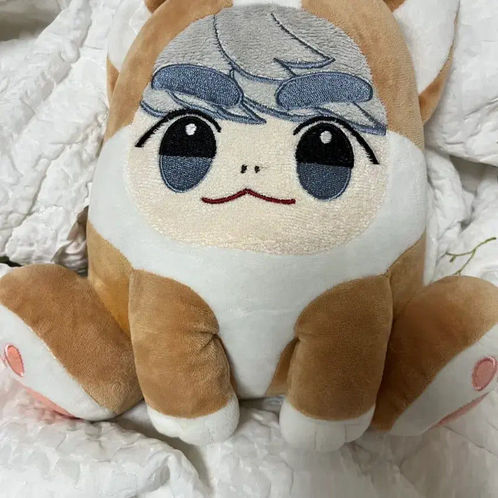 [BUNJANG] SHINee Jonghyun Corgi Jong Photocard / 샤이니 종현 코기쫑 판매