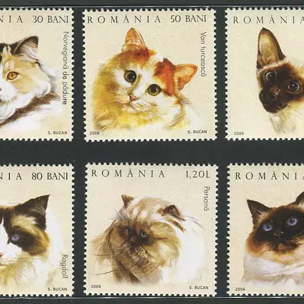 [BUNJANG] BKstamp Romania Cat Stamp Set (2006) / [BKstamp외국우표]루마니아 고양이 6종완(2006년)