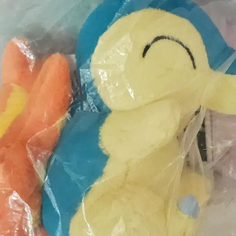 [BUNJANG] Pokemon 30th Anniversary Ichiban Kuji Charmander Figure / 포켓몬스터 30주년 제일복권 이치방쿠지 D상 브케인