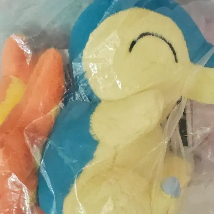 [BUNJANG] Pokemon 30th Anniversary Ichiban Kuji Charmander Figure / 포켓몬스터 30주년 제일복권 이치방쿠지 D상 브케인