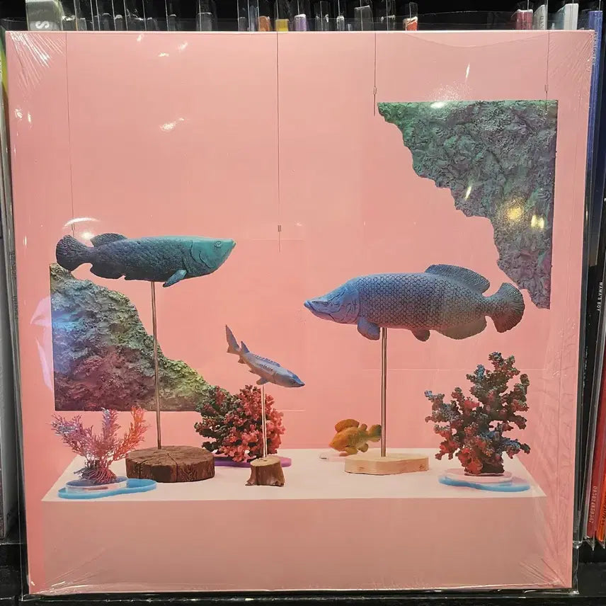 [BUNJANG] PeeJay LP Vol.2 / PeeJay LP 피제이 엘피 Vol.2