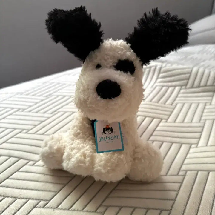 [BUNJANG] Jellycat Rupperty Puppy Junior Genuine / jellycat 루퍼티 퍼피 주니어 젤리캣 정품