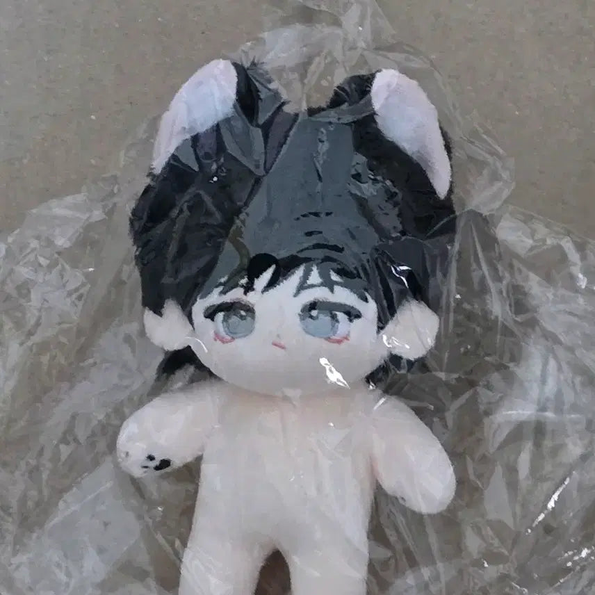 [BUNJANG] Happy Together 10cm Doll + B-ON Exclusive Set / 해피투게더 해투 10cm인형 새상품+비온특전도드림
