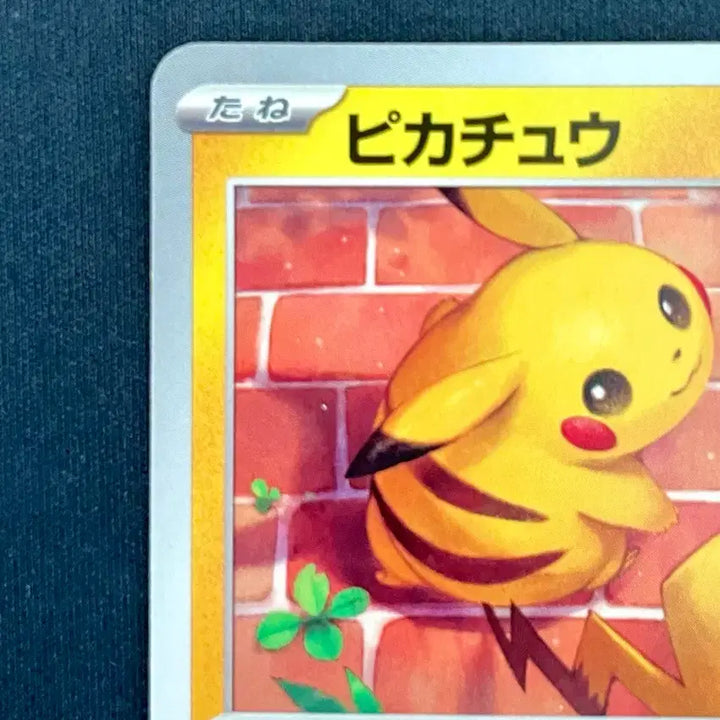 [BUNJANG] Pokemon Card Clay Burst Pikachu 017/071 / 일판 포켓몬카드 클레이버스트 피카츄 017/071
