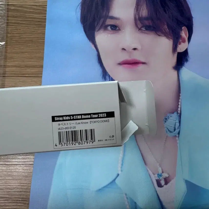 [BUNJANG] Stray Kids Lee Know 5-STAR Dome Tour 2023 Tapestry / 스키즈 리노 태피스트리