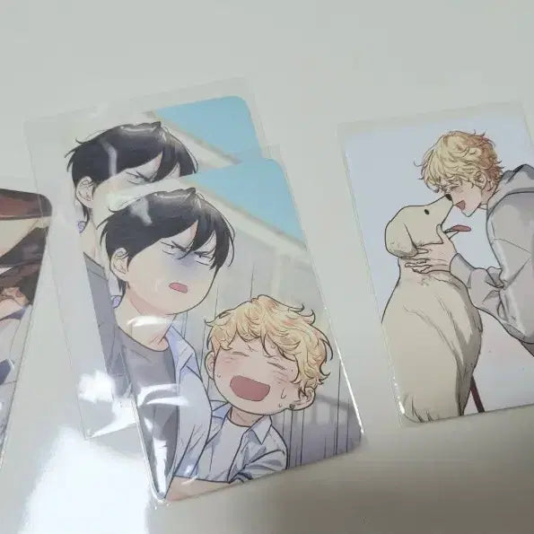 [BUNJANG] TOONIQ Love Fantasy Superstar Bangpo Bundle Set / 양도) 사랑은환상슈퍼스타 방포 일괄 투니크 모펀 레봄