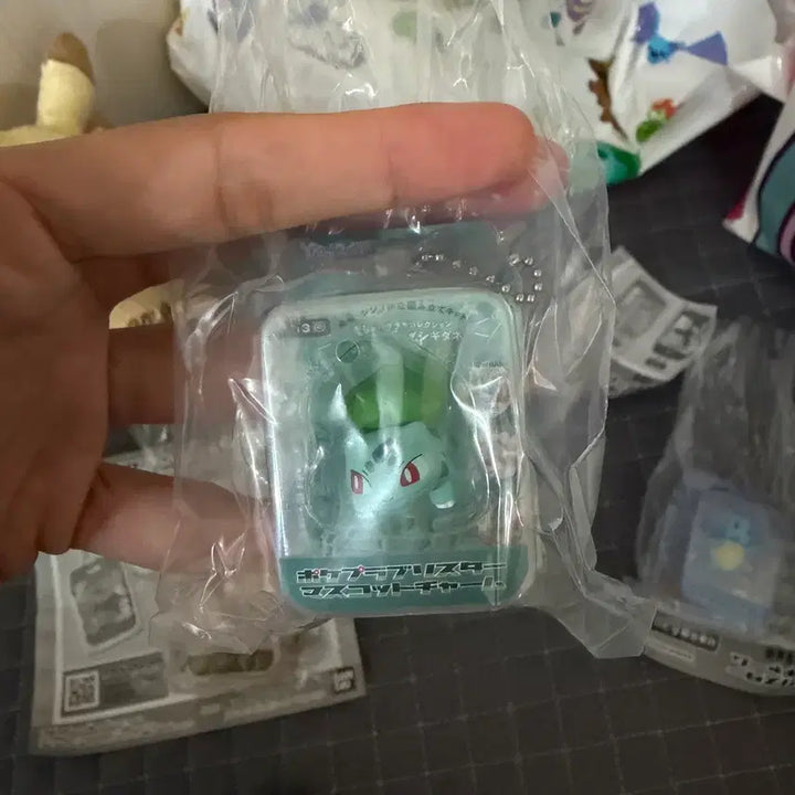 [BUNJANG] Pokemon Blister Gacha Eevee / Squirtle / Bulbasaur Bundle Set / 포켓몬 블리스터 가챠 이브이/꼬부기/이상해씨