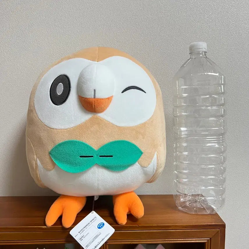 [BUNJANG] Pokémon Large Rowlet Plush / 포켓몬스터 대형 나몰빼미 인형