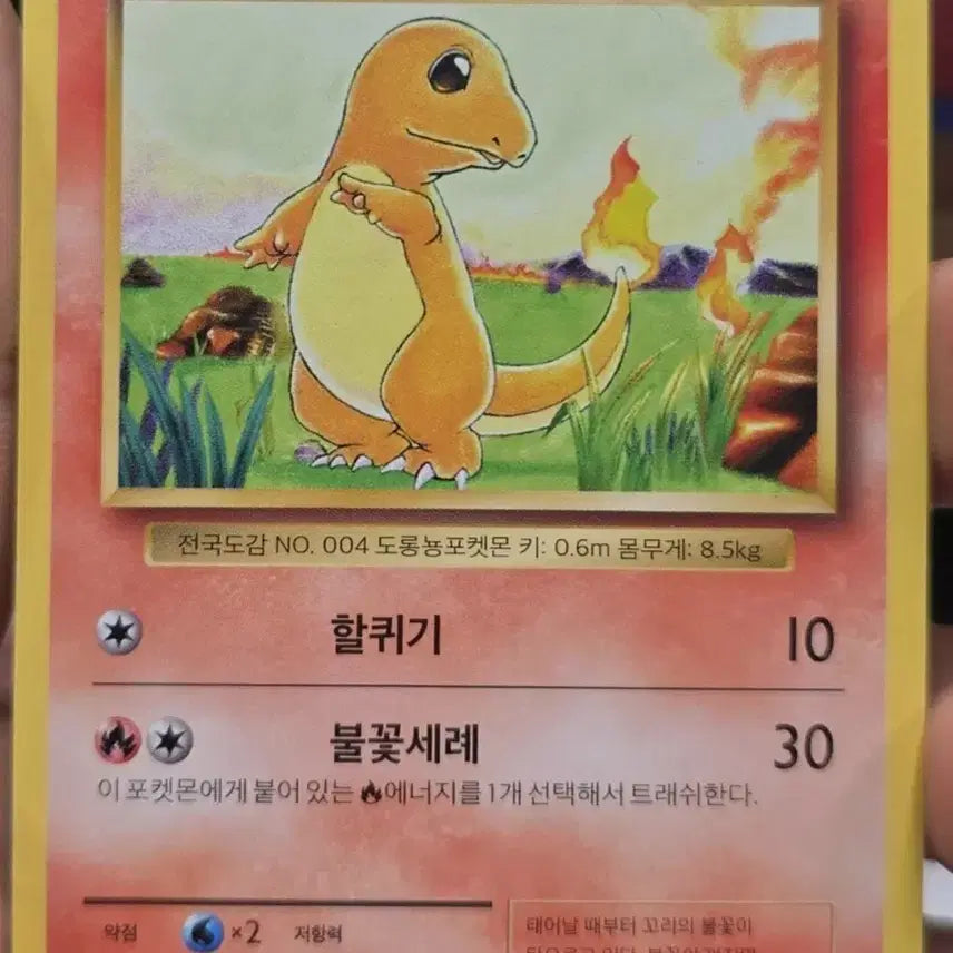 [BUNJANG] Pokemon Charmander Card / (포켓몬) 파이리 카드