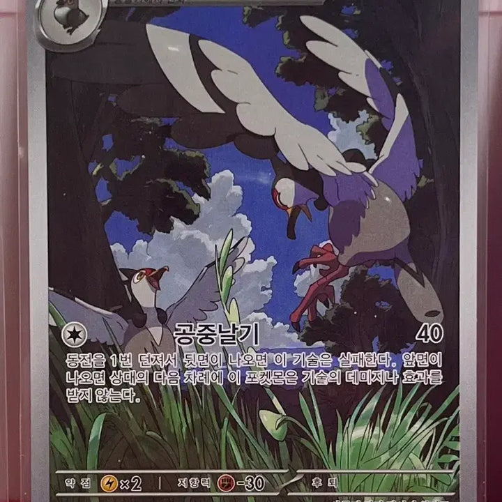 [BUNJANG] Pokemon Card Bundle Set / 포켓몬카드 일괄