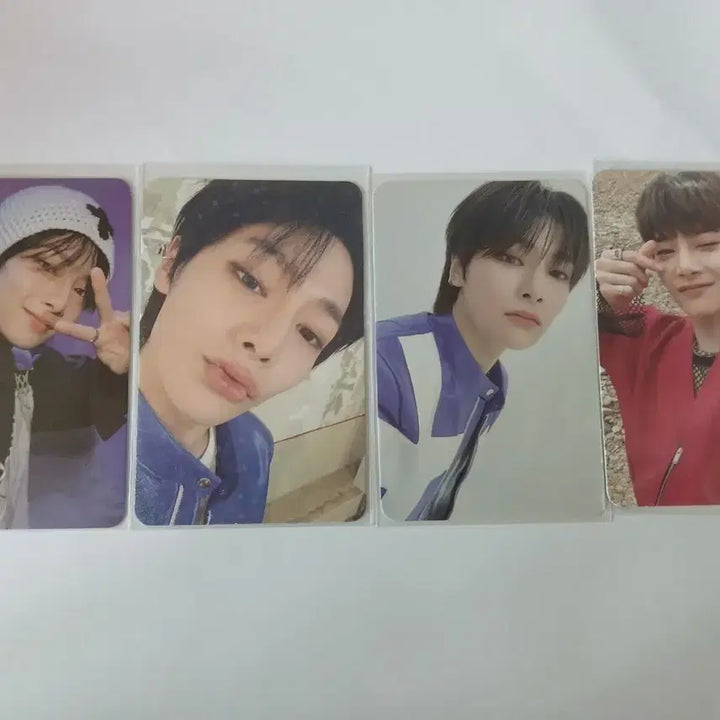 [BUNJANG] Stray Kids I.N Photocard / 스트레이키즈 아이엔 포카 팔아욤