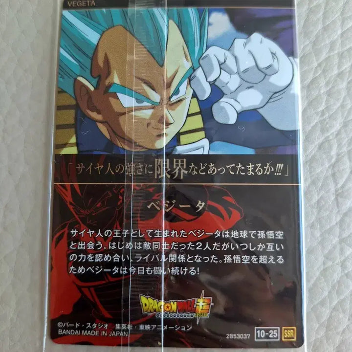[BUNJANG] Dragon Ball Card Vegeta / 이타자가 드래곤볼 카드 베지터