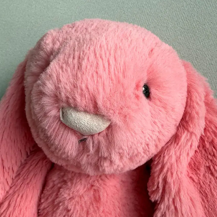 [BUNJANG] Jellycat Coral Bunny Medium (Discontinued Color) / (중고) 젤리캣 코랄 버니 미디움