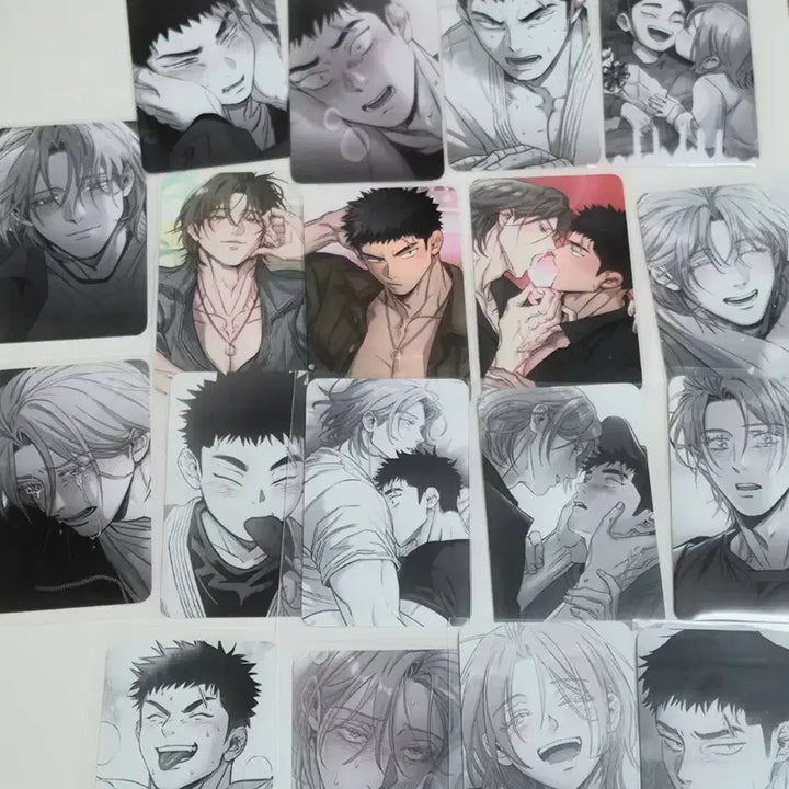 [BUNJANG] You Are My World (너는나의세상) Collection Card Bundle Set / 양도) 너나세 컬포 드볼 일괄 너는나의세상 리디 레봄 모펀 투니크 비온 봄툰