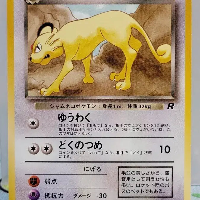 [BUNJANG] Pokemon Card First Edition Old Back Pershian / 포켓몬카드 초판 올드백 [나쁜 페르시온]