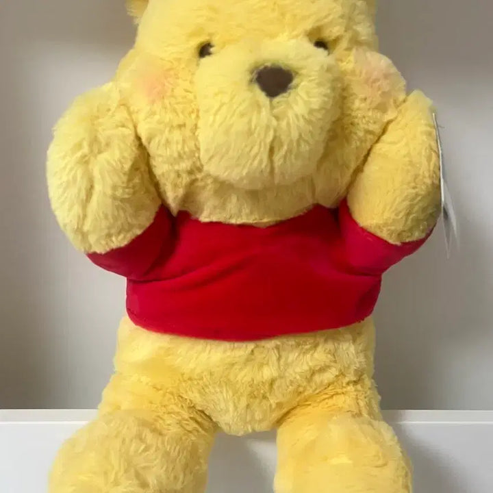 [BUNJANG] Disney Shanghai Winnie the Pooh Plush Doll / 상하이 디즈니랜드 곰돌이 푸 인형