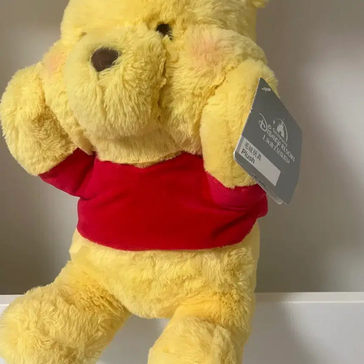 [BUNJANG] Disney Shanghai Winnie the Pooh Plush Doll / 상하이 디즈니랜드 곰돌이 푸 인형