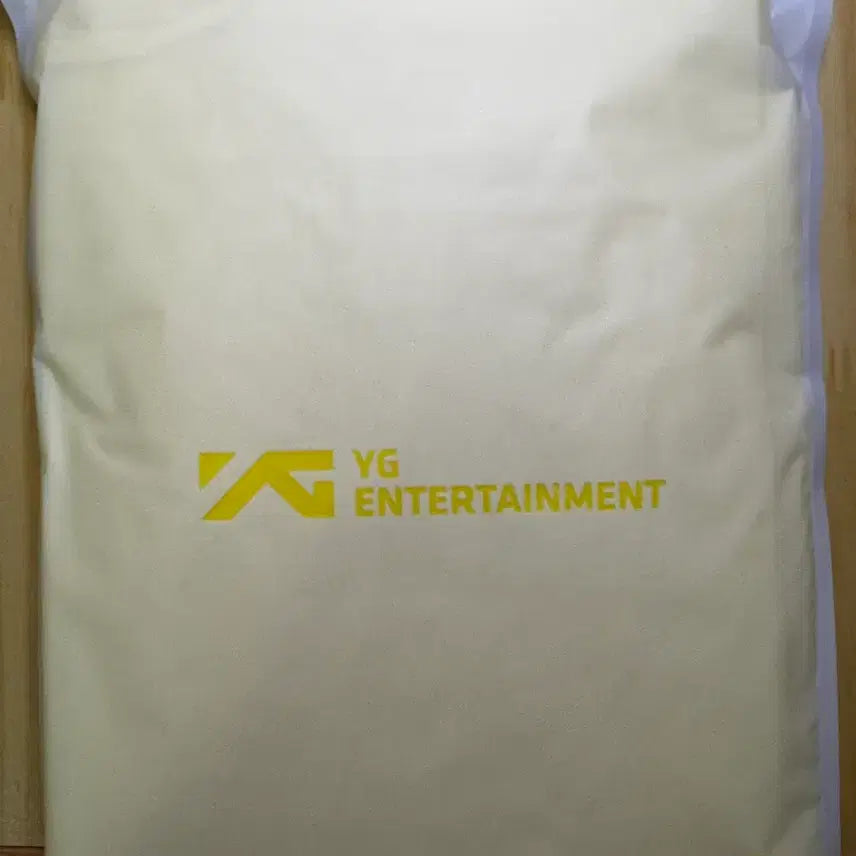 [BUNJANG] BIGBANG 20th Anniversary Concert Raincoat / 빅뱅 20주년 콘서트 우비