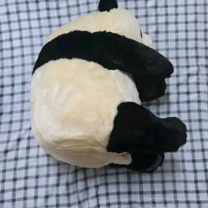 [BUNJANG] Bao Family Fu Bao Realistic Plush Doll / (가격고정)바오패밀리 실사푸바오 인형 판매합니다 급처