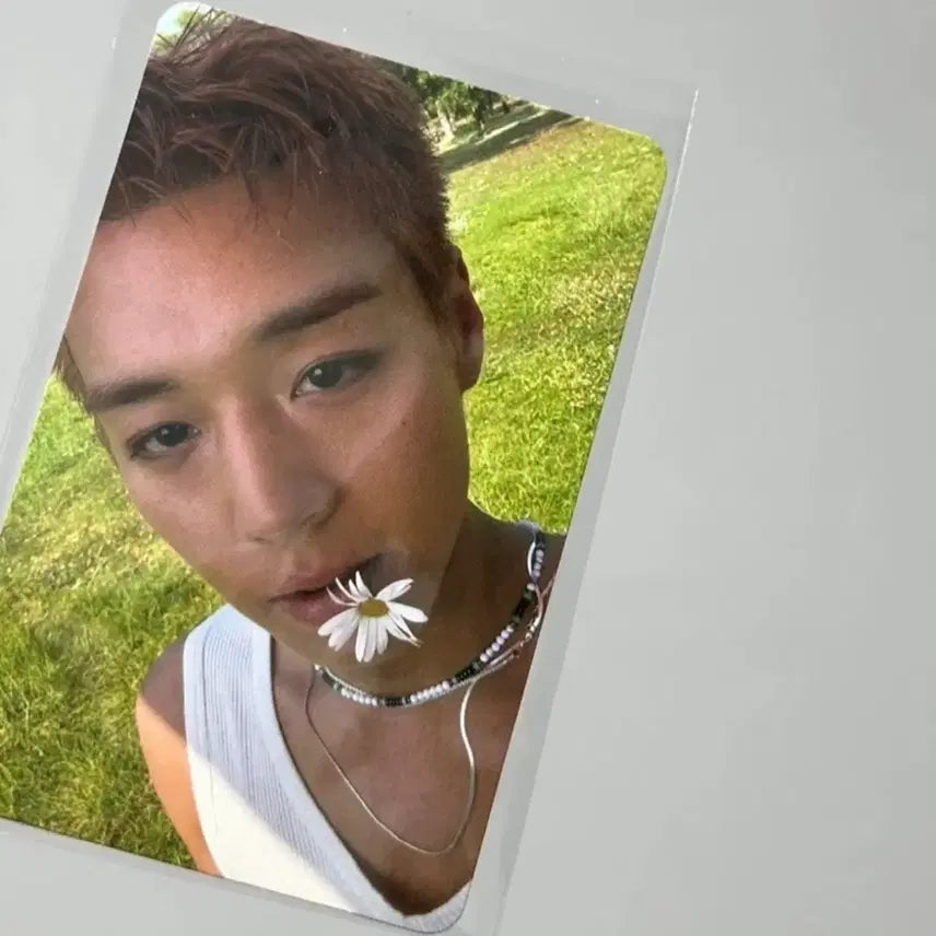 [BUNJANG] Park Jihoon Reflect Photocard / 리플렉트 박지훈 포카