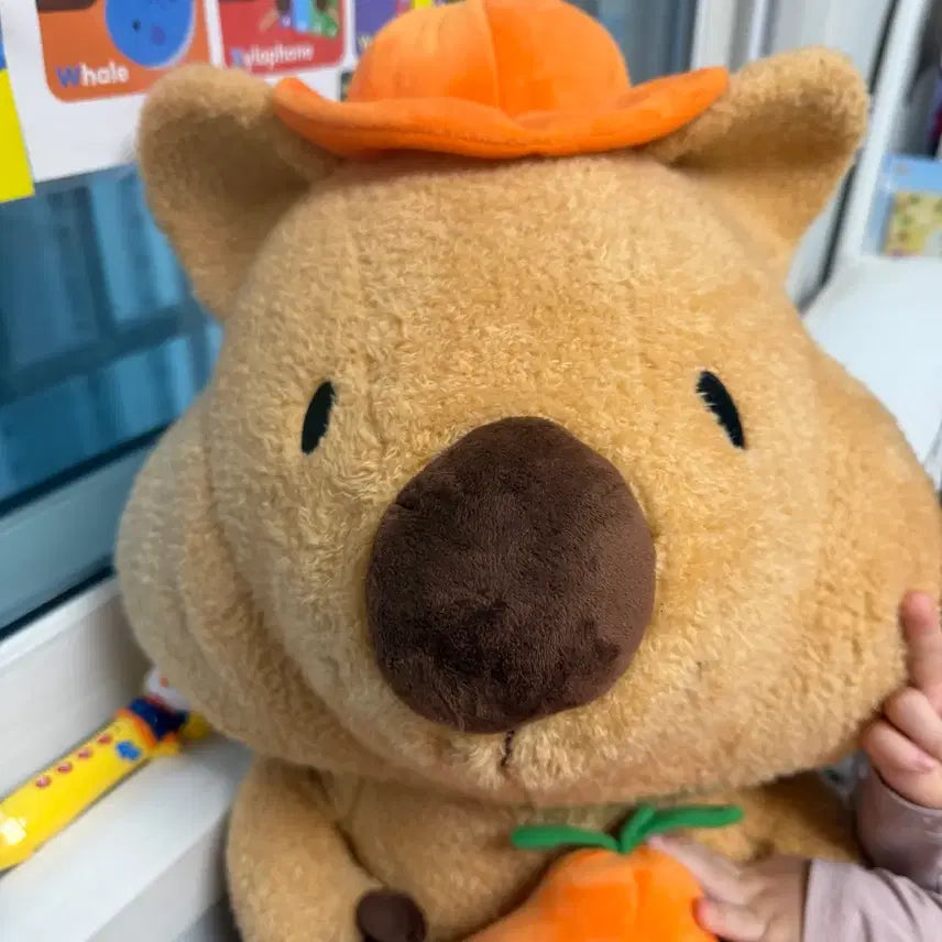 [BUNJANG] Quokka Large Plush Toy / 쿼카 대형인형 (새상품)