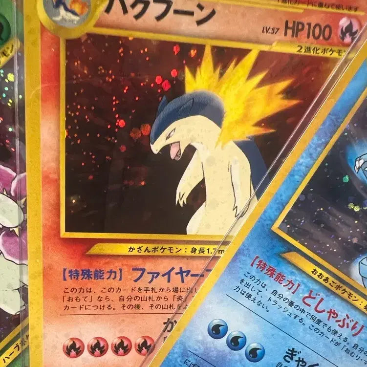 [BUNJANG] Pokemon Vintage Neo 2nd Generation Set / 포켓몬카드 빈티지 올드백 네오 2세대 세트