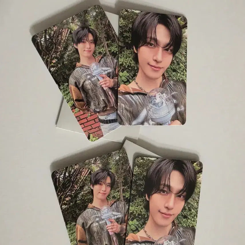 [BUNJANG] SEVENTEEN Dino Billboard Show Carat Zone Photocard / 세븐틴 디노 길보드쇼 캐럿존 포카