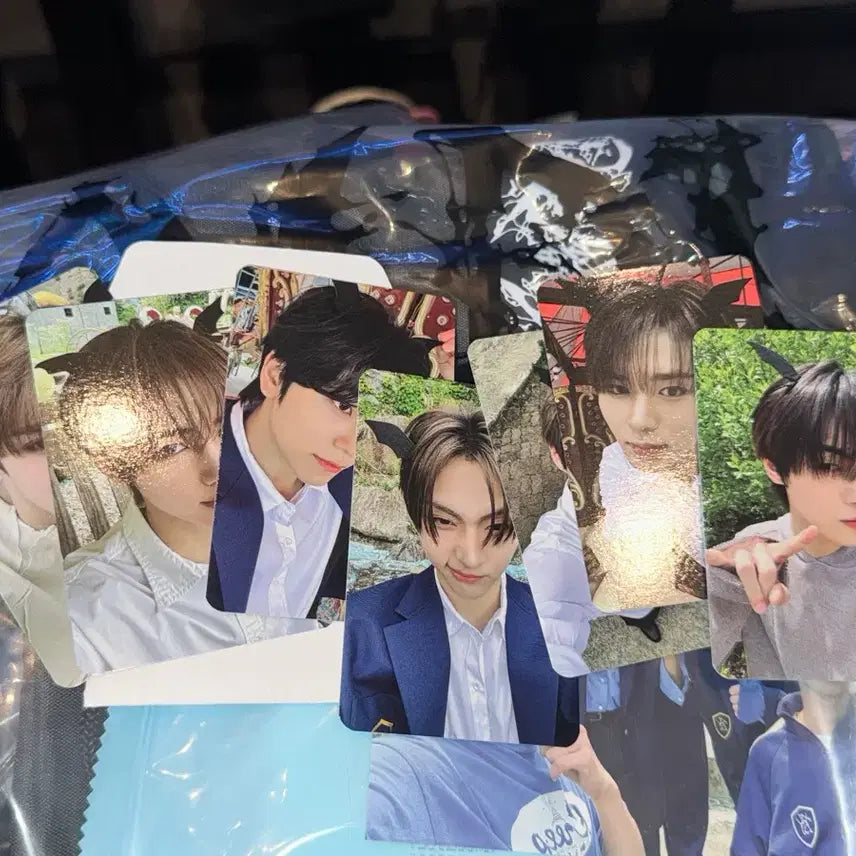 [BUNJANG] EOD ONE Showcase Split Set Photocard Bundle / 알디원 쇼케 역조공 일괄 양도 상원 리오 준서 안신 상현 아르노 씬롱 쇼케이스